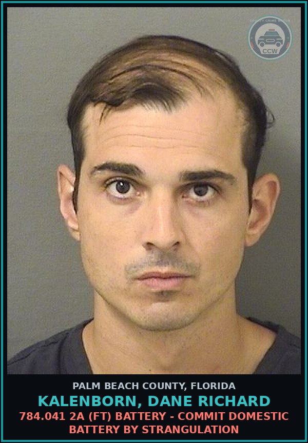 Booking mugshot of KALENBORN, DANE RICHARD in Palm Beach County