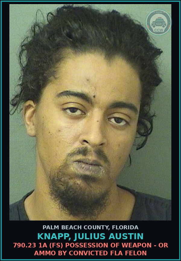 Booking mugshot of KNAPP, JULIUS AUSTIN in Palm Beach County