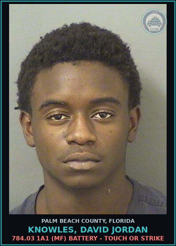 Booking mugshot of KNOWLES, DAVID JORDAN in Palm Beach County