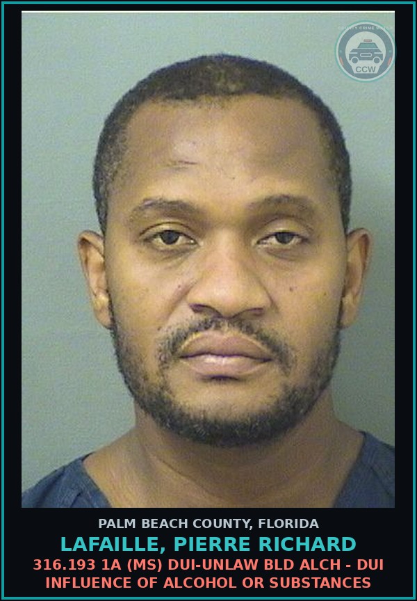 Booking mugshot of LAFAILLE, PIERRE RICHARD in Palm Beach County