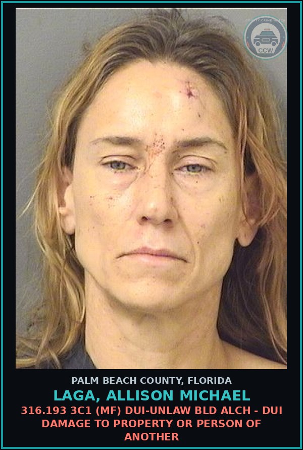 Booking mugshot of LAGA, ALLISON MICHAEL in Palm Beach County