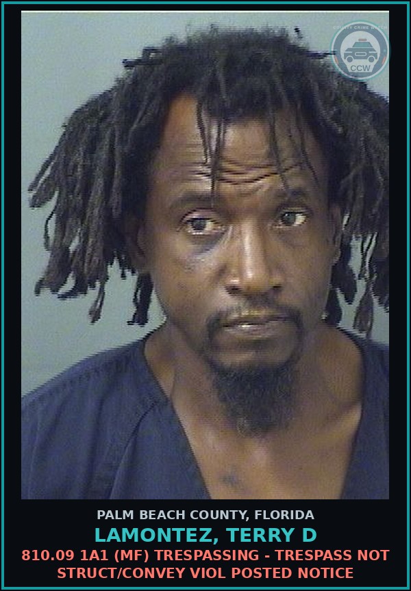 Booking mugshot of LAMONTEZ, TERRY D in Palm Beach County