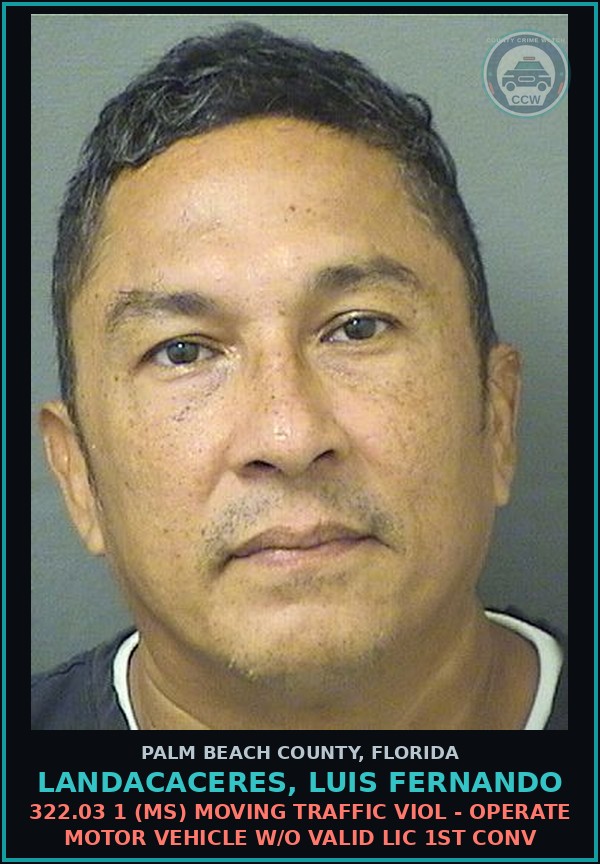 Booking mugshot of LANDACACERES, LUIS FERNANDO in Palm Beach County