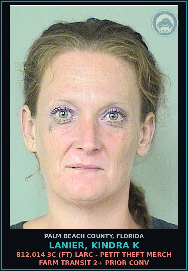 Booking mugshot of LANIER, KINDRA K in Palm Beach County