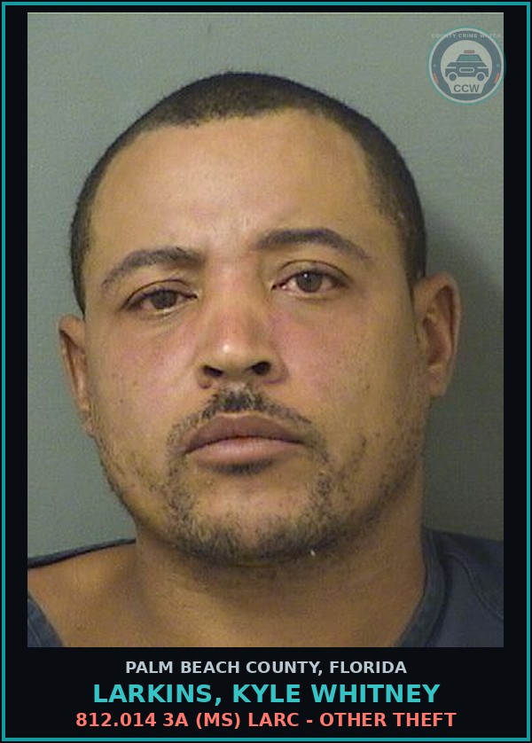 Booking mugshot of LARKINS, KYLE WHITNEY in Palm Beach County