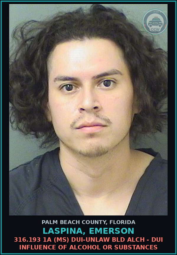 Booking mugshot of LASPINA, EMERSON in Palm Beach County