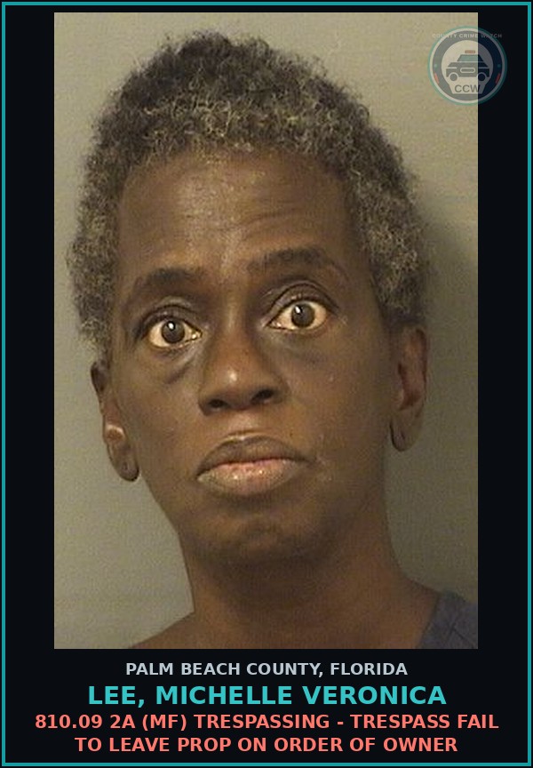 Booking mugshot of LEE, MICHELLE VERONICA in Palm Beach County