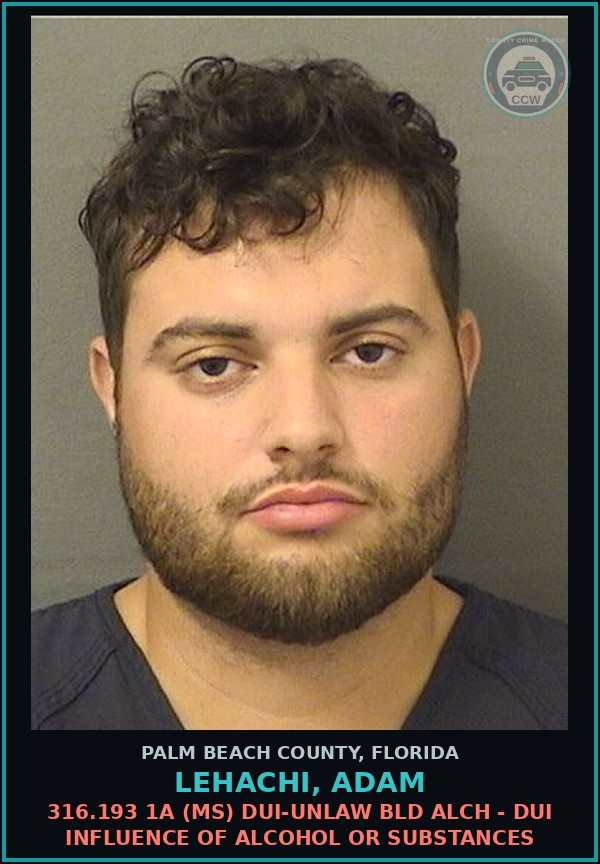 Booking mugshot of LEHACHI, ADAM in Palm Beach County