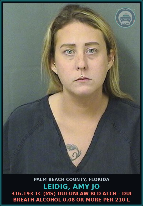 Booking mugshot of LEIDIG, AMY JO in Palm Beach County