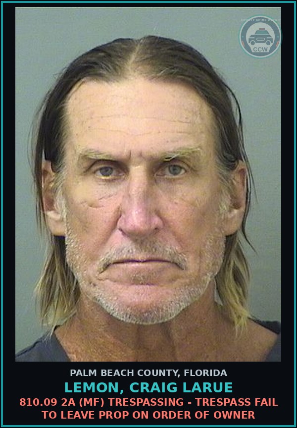 Booking mugshot of LEMON, CRAIG LARUE in Palm Beach County