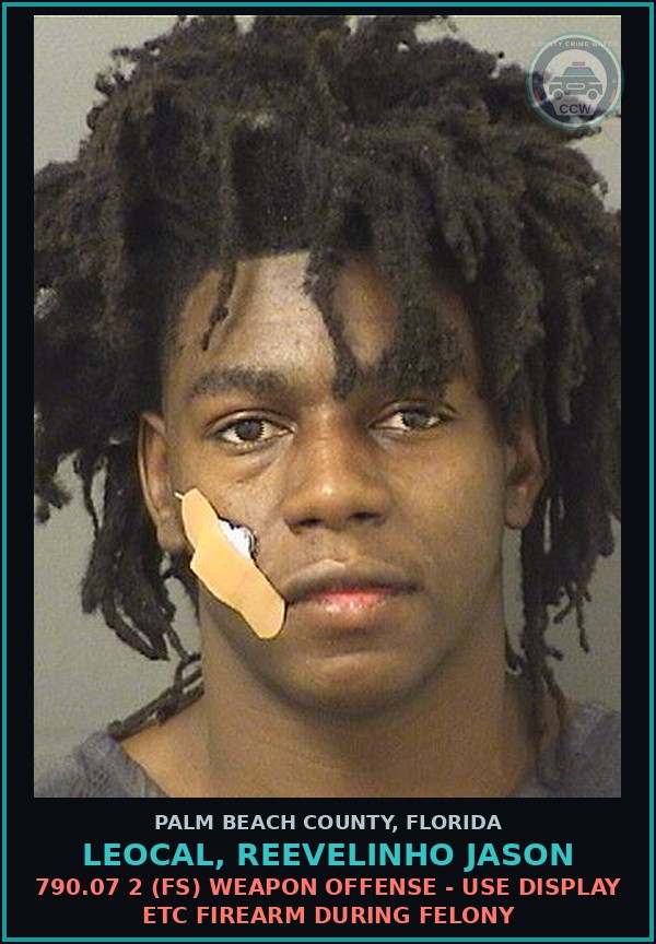 Booking mugshot of LEOCAL, REEVELINHO JASON in Palm Beach County