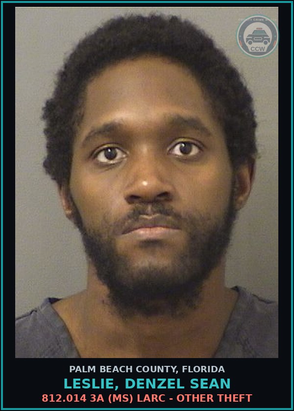 Booking mugshot of LESLIE, DENZEL SEAN in Palm Beach County