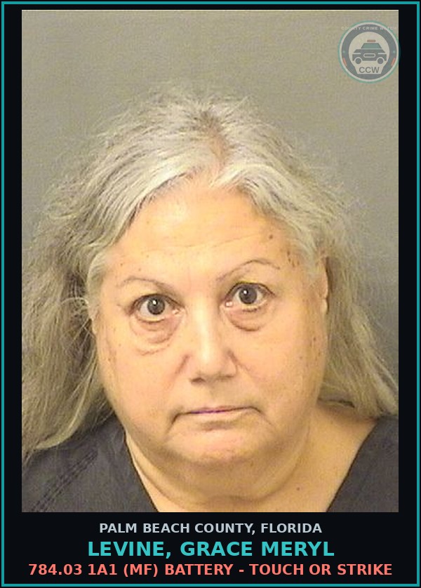 Booking mugshot of LEVINE, GRACE MERYL in Palm Beach County