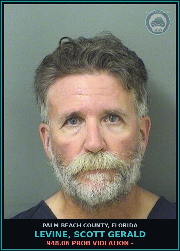 Booking mugshot of LEVINE, SCOTT GERALD in Palm Beach County