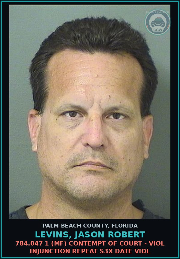 Booking mugshot of LEVINS, JASON ROBERT in Palm Beach County