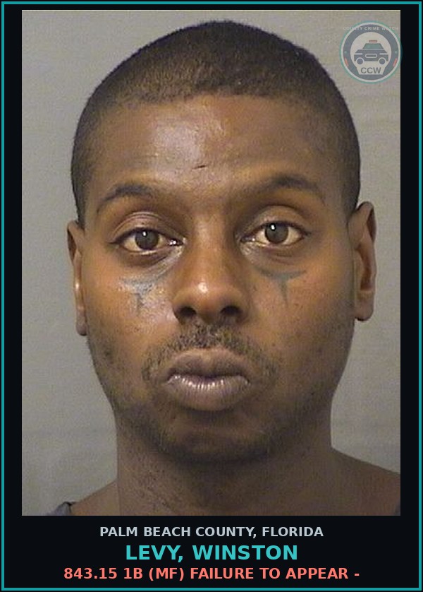 Booking mugshot of LEVY, WINSTON in Palm Beach County
