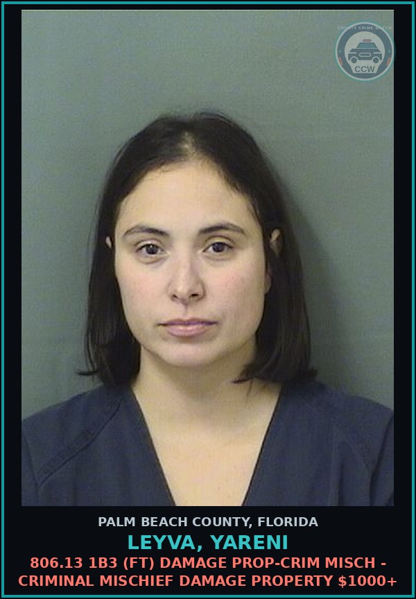 Booking mugshot of LEYVA, YARENI in Palm Beach County