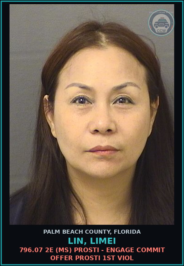 Booking mugshot of LIN, LIMEI in Palm Beach County