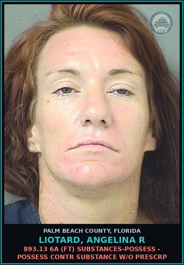 Booking mugshot of LIOTARD, ANGELINA R in Palm Beach County