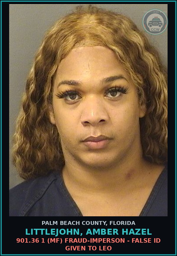Booking mugshot of LITTLEJOHN, AMBER HAZEL in Palm Beach County