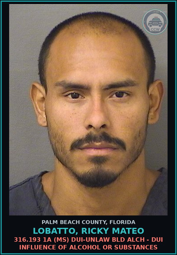 Booking mugshot of LOBATTO, RICKY MATEO in Palm Beach County