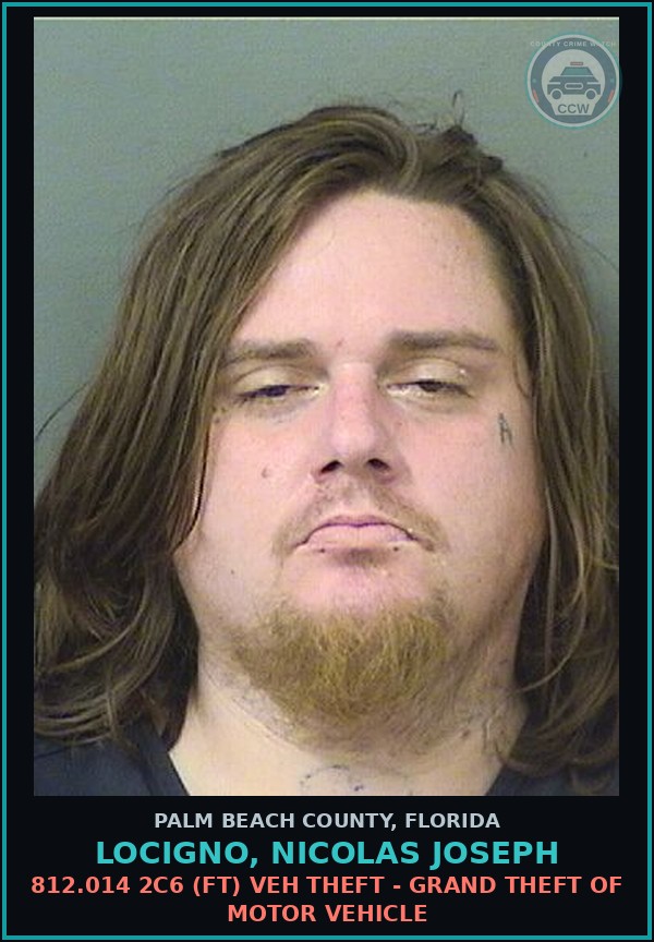 Booking mugshot of LOCIGNO, NICOLAS JOSEPH in Palm Beach County