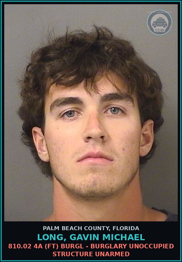 Booking mugshot of LONG, GAVIN MICHAEL in Palm Beach County