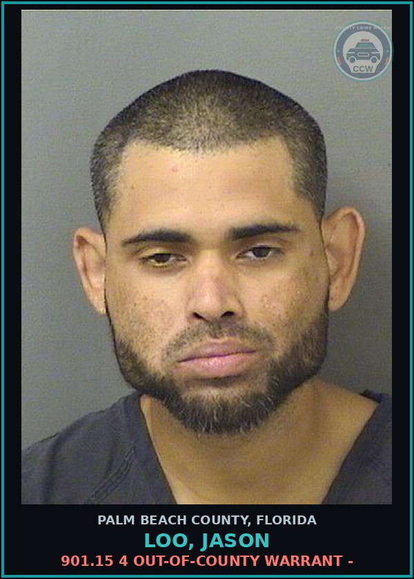 Booking mugshot of LOO, JASON in Palm Beach County