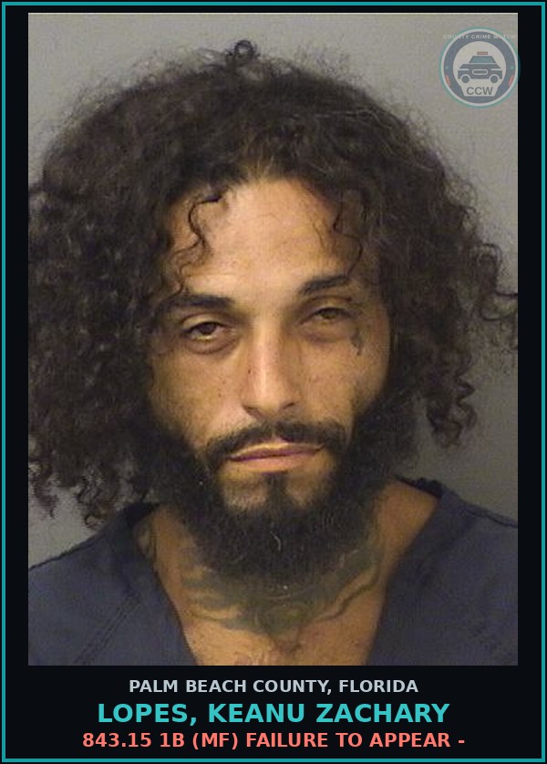 Booking mugshot of LOPES, KEANU ZACHARY in Palm Beach County