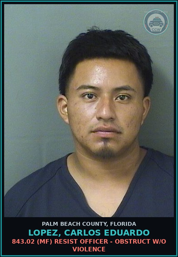 Booking mugshot of LOPEZ, CARLOS EDUARDO in Palm Beach County