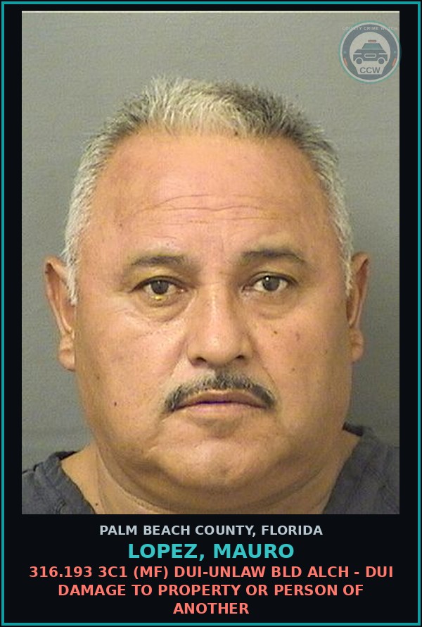 Booking mugshot of LOPEZ, MAURO in Palm Beach County