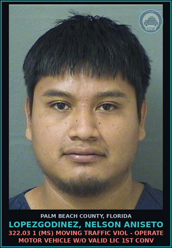 Booking mugshot of LOPEZGODINEZ, NELSON ANISETO in Palm Beach County
