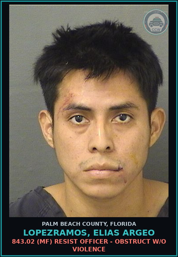 Booking mugshot of LOPEZRAMOS, ELIAS ARGEO in Palm Beach County