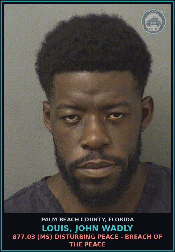 Booking mugshot of LOUIS, JOHN WADLY in Palm Beach County