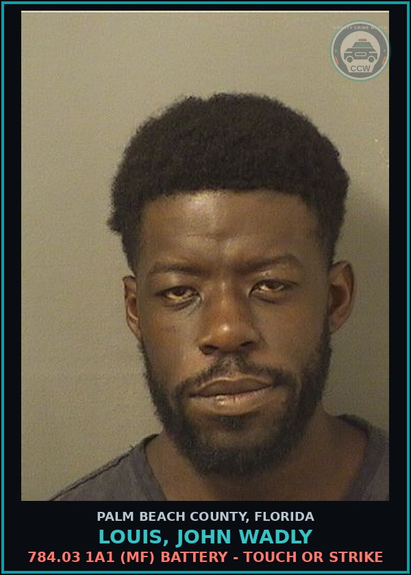 Booking mugshot of LOUIS, JOHN WADLY in Palm Beach County