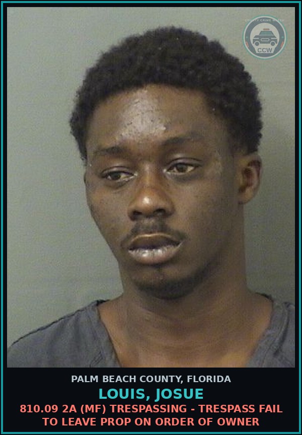 Booking mugshot of LOUIS, JOSUE in Palm Beach County