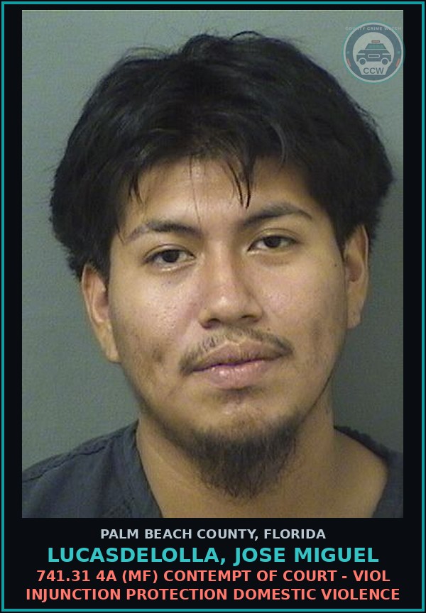 Booking mugshot of LUCASDELOLLA, JOSE MIGUEL in Palm Beach County