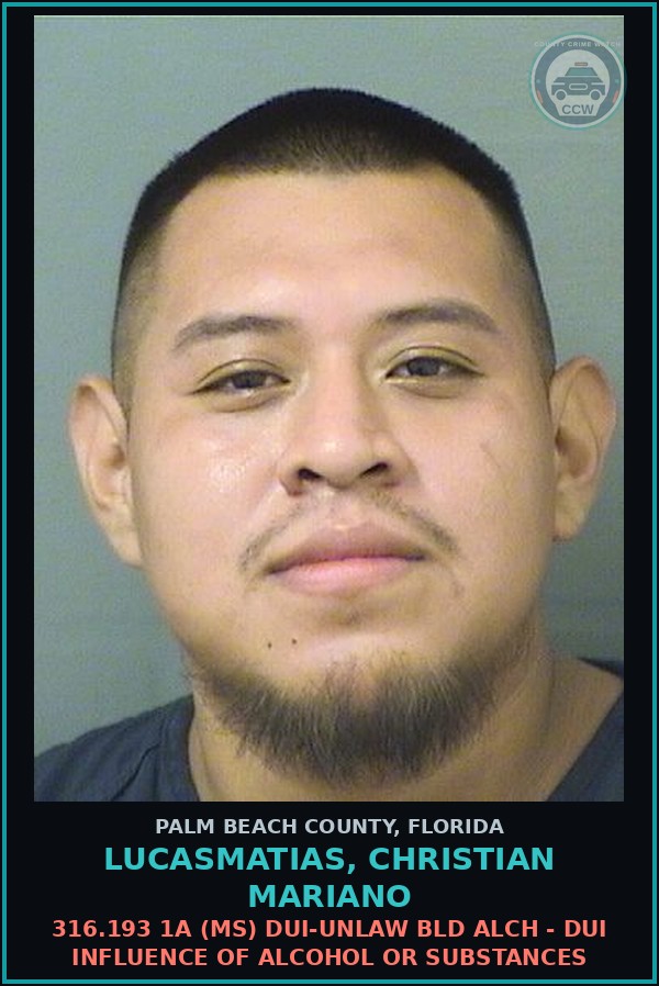 Booking mugshot of LUCASMATIAS, CHRISTIAN MARIANO in Palm Beach County