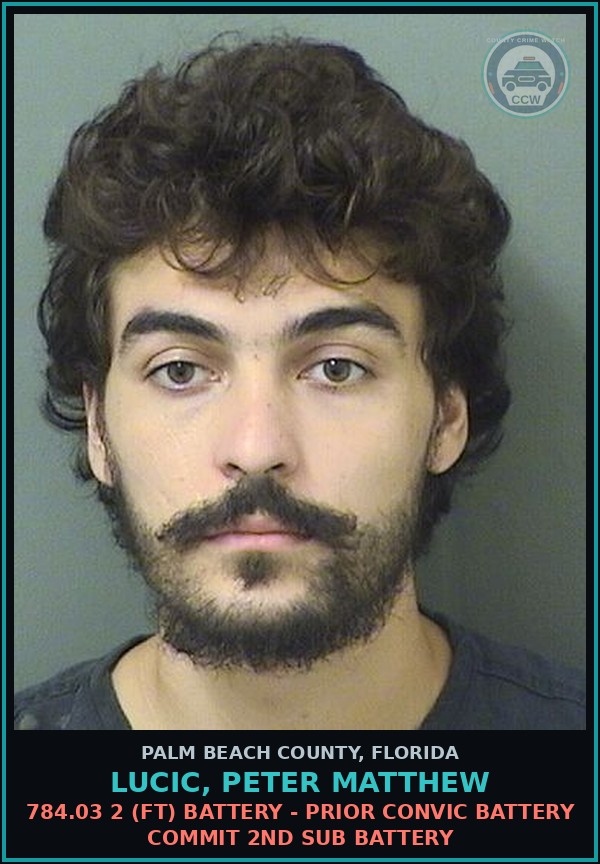 Booking mugshot of LUCIC, PETER MATTHEW in Palm Beach County