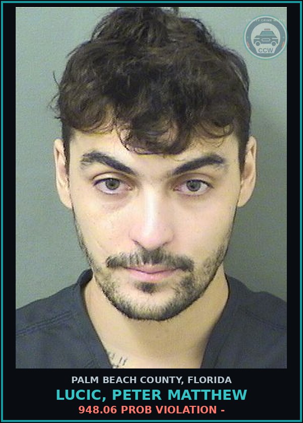 Booking mugshot of LUCIC, PETER MATTHEW in Palm Beach County