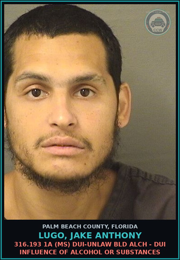 Booking mugshot of LUGO, JAKE ANTHONY in Palm Beach County
