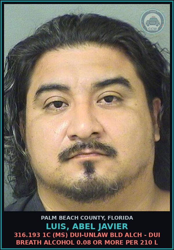 Booking mugshot of LUIS, ABEL JAVIER in Palm Beach County