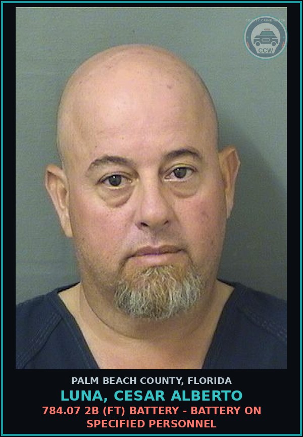 Booking mugshot of LUNA, CESAR ALBERTO in Palm Beach County