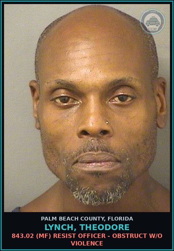 Booking mugshot of LYNCH, THEODORE in Palm Beach County