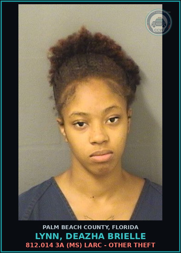 Booking mugshot of LYNN, DEAZHA BRIELLE in Palm Beach County