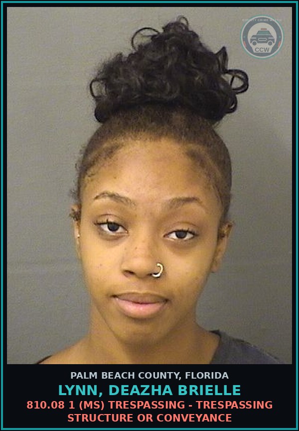 Booking mugshot of LYNN, DEAZHA BRIELLE in Palm Beach County