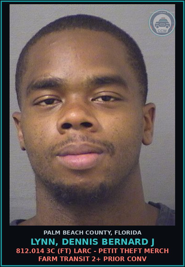 Booking mugshot of LYNN, DENNIS BERNARD J in Palm Beach County