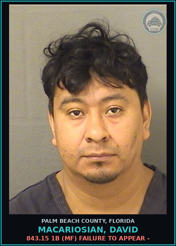 Booking mugshot of MACARIOSIAN, DAVID in Palm Beach County
