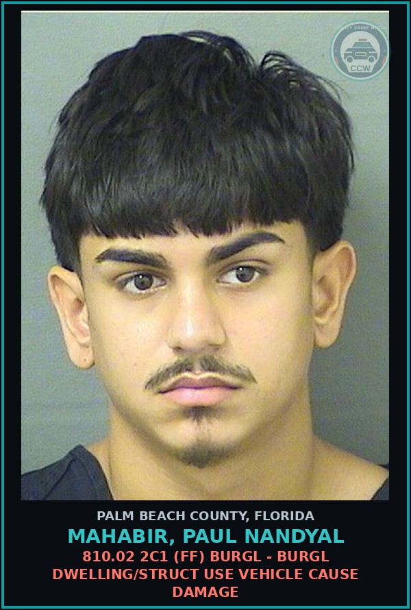 Booking mugshot of MAHABIR, PAUL NANDYAL in Palm Beach County