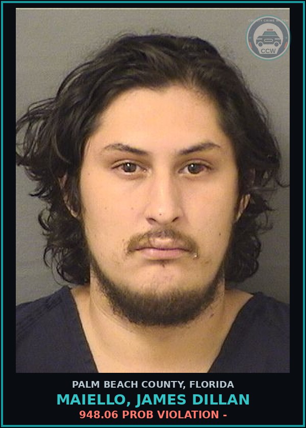 Booking mugshot of MAIELLO, JAMES DILLAN in Palm Beach County